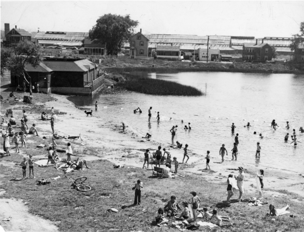 Jerry's Pond, a former clay pit in North Cambridge, was a popular swimming hole in 1945. In the background is Rindge Avenue and the brick- drying sheds of New England Brick Company where generations of Irish and French Canadians worked. 