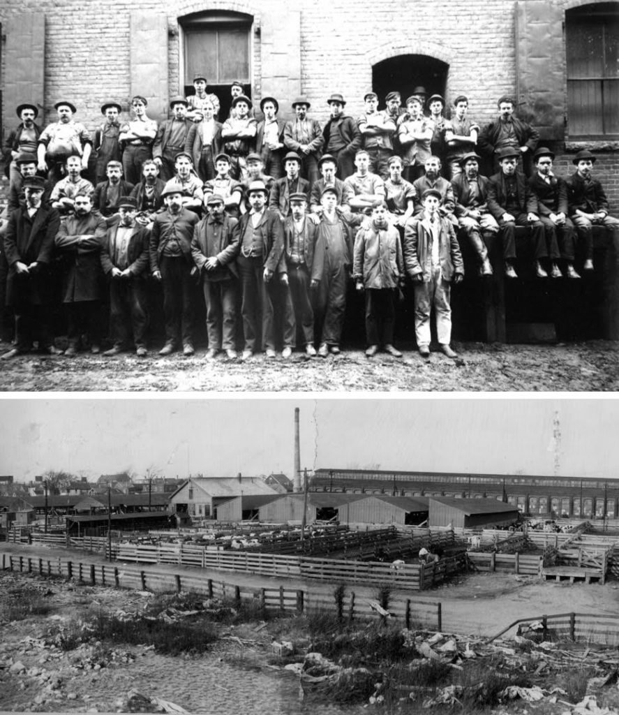 Above: Four rows of forty-six men looking at the camera. Behind the men is a brick wall. Below: Cattle in various fenced in areas of the stockyard. Behind the cattle are four buildings that are a part of the stock yard. At the front of the photograph is a fenced in dirt road.