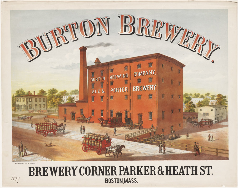 An 1877 poster of a 4-story brewery at Parker and Heath Streets in Jamaica Plain with horse-drawn wagons out front transporting barrels of beer.